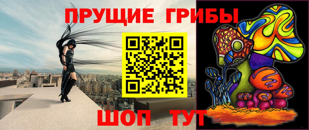 Галлюциногенные грибы Psilocybine cubensis  Вход с VPN  Новотроицк 